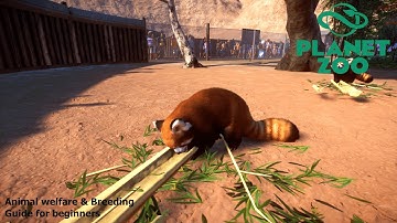 Planet Zoo - Animal welfare and breeding guide for beginners