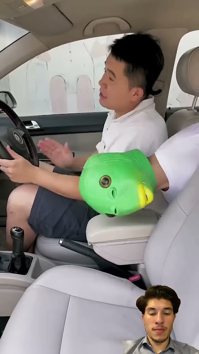 wow, amazing car cover #automobile #danbyappliances #goodthing #butifyoucloseyoureyes
