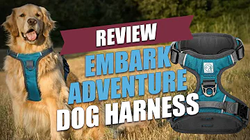Embark Adventure Dog Harness Review