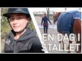 RUNDTUR I STALLET | vlogg