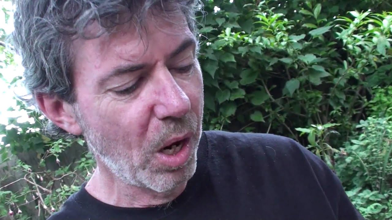 A.J. Leonard Plays Mistakes On Ukulele