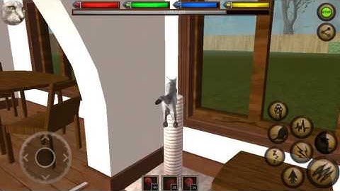 How to lv up fast in ultimate cat simulator