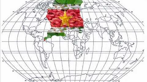 the few troubles - Judith Tilborg 