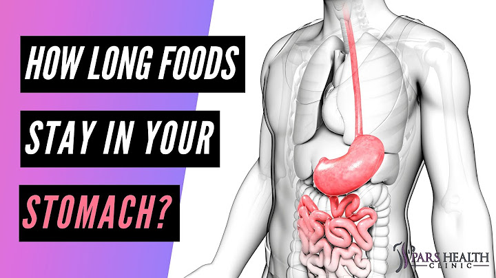 How long does food stay in your large intestine