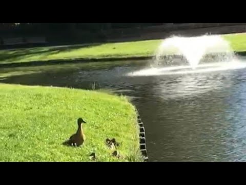 جولة معي في طبيعة مدينتي الجميلة 