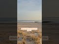Winter Waves. #fyp #winterwaves #fireisland