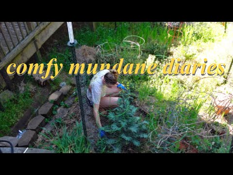COMFY MUNDANE DIARIES 6 | picnic, art school, gardening, baking cheesecake, homebody diaries