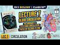 10th Class Biology Chapter 3 New Book The Circulation of Blood Human Heart Punjab Board 2026