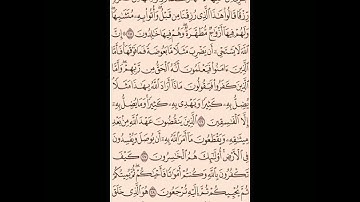 الصفحة 5 / القارئ أبو بكر الشاطري