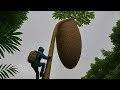 Fearless Wild Bee Catching – How Locals Harvest Jungle Honey
