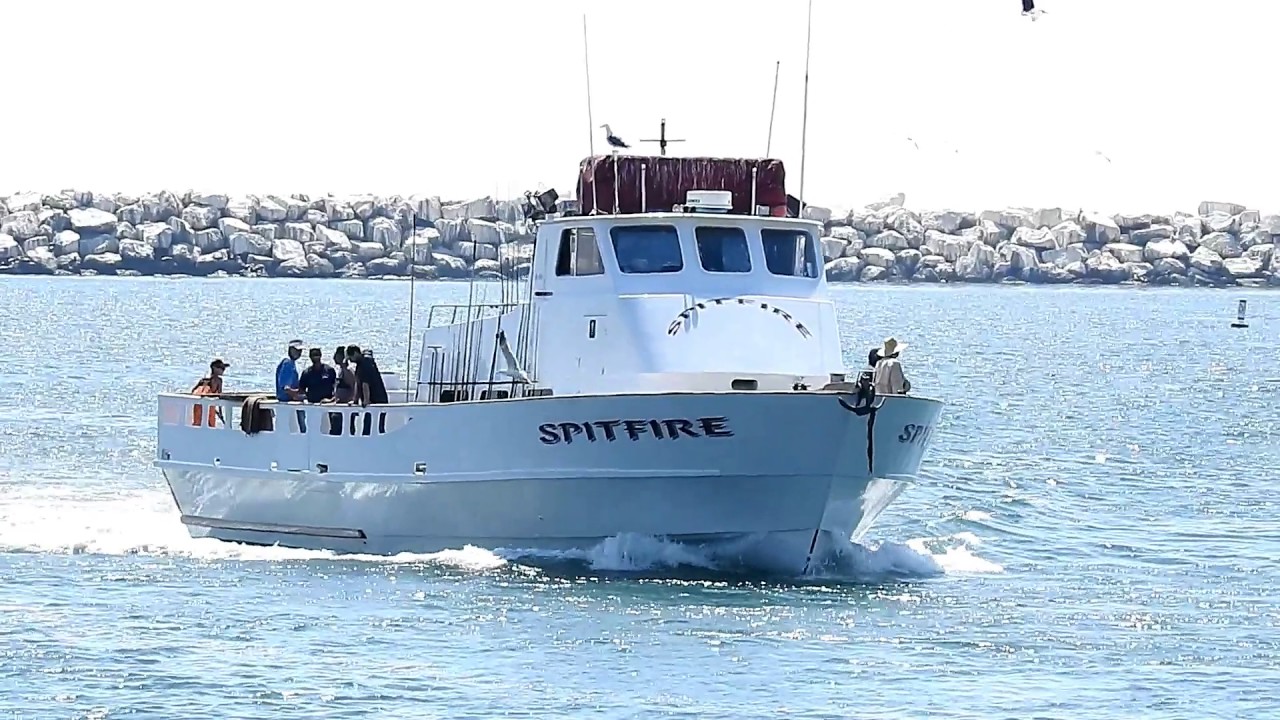 Spitfire sportfishing Clearance