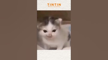 TOP 5 BESTVERKOCHTE FRISDRANK IN VIETNAM VANDAAG #entertainment #softdrinks #vietnam