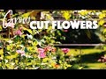 HOW TO GROW A CUT FLOWER GARDEN🌸🌼🌻/A BEAUTIFUL NEST