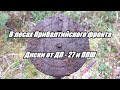 В лесах Прибалтийского фронта. Диски от ДП - 27 и ППШ. / In the forests of the Baltic front.