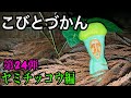【こびとづかん】ヤミチッコウ見つけるまで帰れま10！！