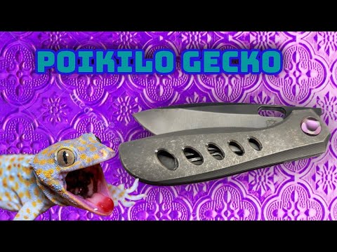 Is The Poikilo Gecko Worth The $$$?  