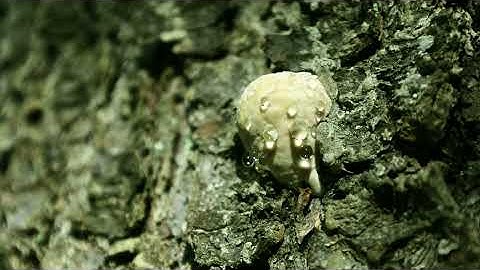 Between Threads - Tilo Olstad Aasheim (film)