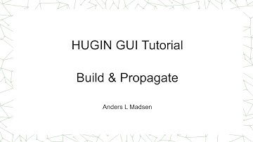 HUGIN Build and Propagate Tutorial