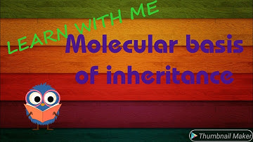 Molecular basis of inheritance part 3