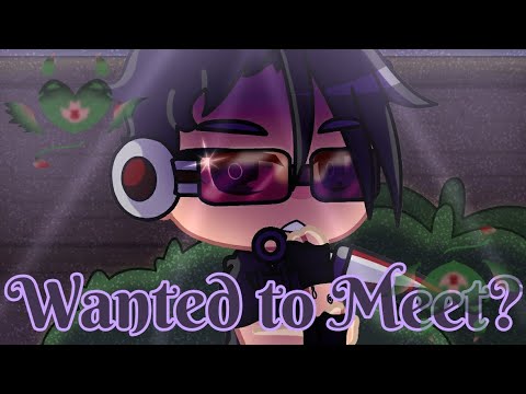 Wanted to Meet // Izumi × Haru AU \\