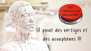 20 Vésicule Biliaire Le Point Des Vertiges Et Des Acouphènes