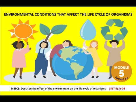 Environmental Conditions in the Life Cycle of Organisms