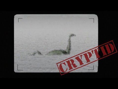 Video: Zanimivosti O Pošasti Loch Ness - Alternativni Pogled