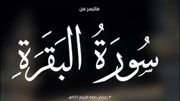 صلاة القيام 3 رمضان 1446هجري|القارئين عبد الرحمن فضل ، طلال حسين
