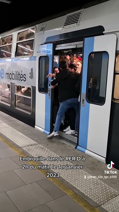 RER D embrouille ! #shorts