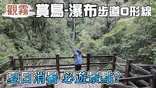 觀霧賞鳥步道瀑布步道觀霧八景 觀霧國家森林遊樂區最棒森林 ... 