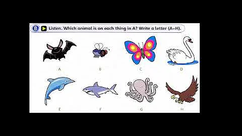 FUN FOR FLYERS 4TH - UNIT 6B - PAGE 16