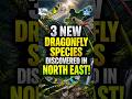 3 New Dragonfly Species Discovered in India | Northeast Biodiversity | UPSC | NEXT IAS