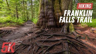 Easy Hike on Franklin Falls Trail - 5K Forest Walk for Relaxation or Indoor Workout