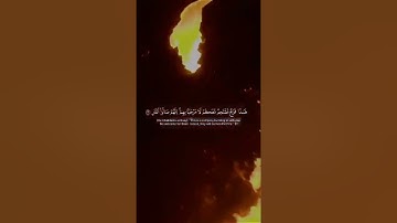 القارئ ريان المحيسني / خواتيم سورة ص / {هذا وإن للطاغين شر مئاب }