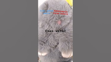 Thumbnail of Hej miśki czas wstać jak można tak spać