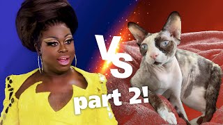 Bob the Drag Queen vs Colleen X Change Part 2: Like, Hate, and Violent Scenarios