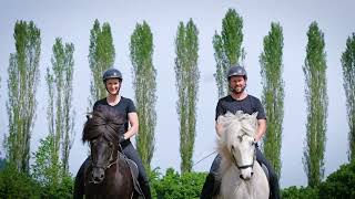 Offizieller Wm-Spot 2025 Commercial Spot Bramegg, Islandpferde Weiss