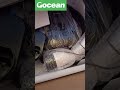 L6 Pro Black Unboxing Experience: Gocean Wall-Mounted Electric Vehicle Charger.