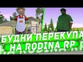 БУДНИ ПЕРЕКУПА НА РОДИНА РП #3