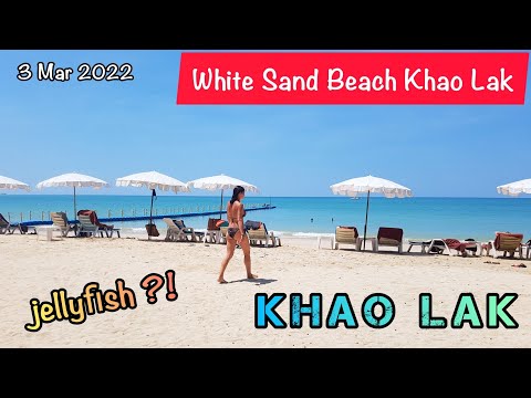White Sand Beach Khao Lak ~ I found a lot of jellyfish on the beach here.