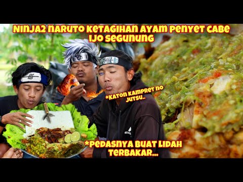 NINJA KONOHA KETAGIHAN AYAM PENYET UTUH CABE IJO SEGUNUNG