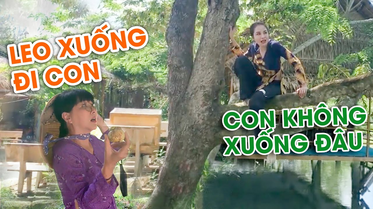 lung cột cầu cần thơ New Update Đến Lung Cột Cầu - Cần Thơ, Hoa hậu Diễm Hương hoảng hốt leo cây vì phát hiện...