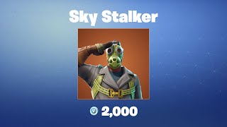 Sky Stalker Fortnite Outfitskin
