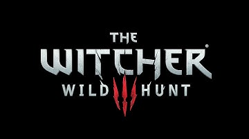 The Witcher 3: Wild Hunt - Entwickler-Interview zum Hands-On-Event im März 2015