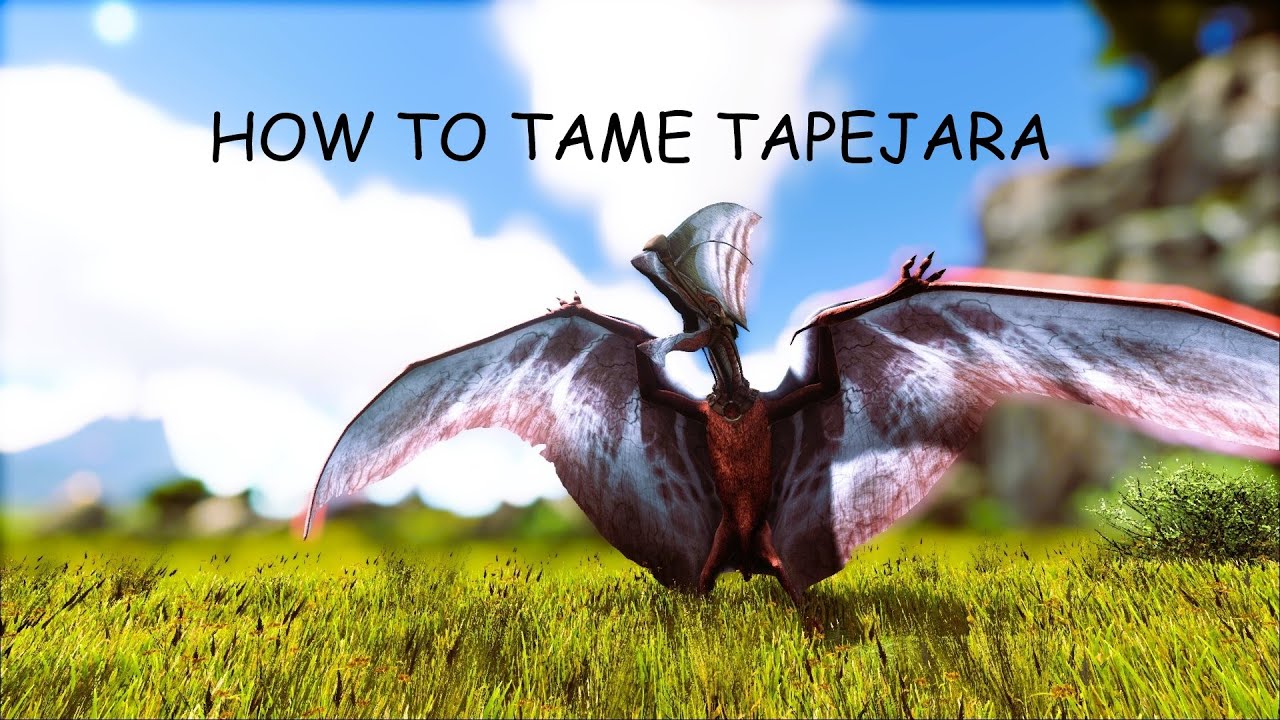 How To Tame A Tapejara YouTube