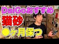 【DaiGo】おすすめの猫砂は○ヶ月替えなくても臭くない！？【切り抜き】