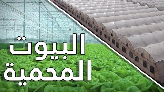 البيوت المحمية وتقنياتها