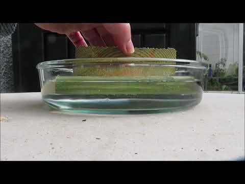 Density or Mass?