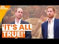 'It's all true!' | Explosive new claims about feud between Princes William and Harry