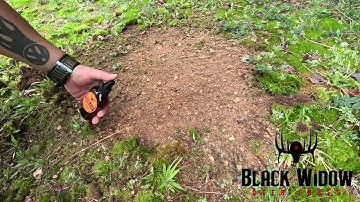 How to use Black Widow Deer Lures Scrapemaster